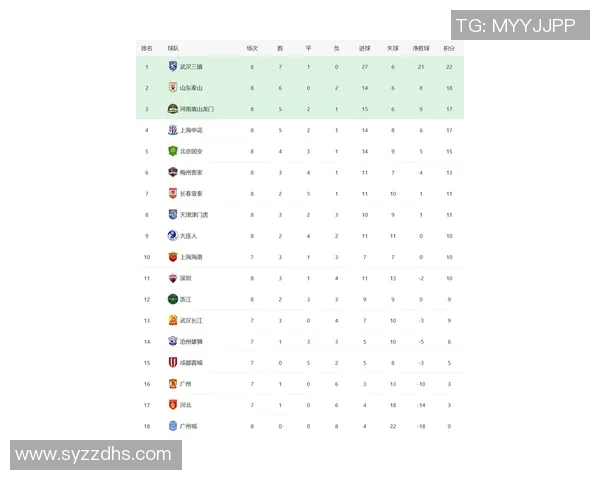武汉排球队积分榜领先以62分稳居第一位置引发关注